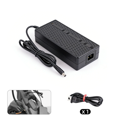 54.6V   2.5A   Charger  for  R8, Rpro